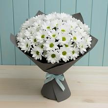 Букет цветов из:  Хризантемы #REPLACE_PRED# Мармашах