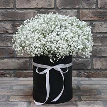 Цветочная композиция из Гипсофила в шляпной коробке в Мармашах